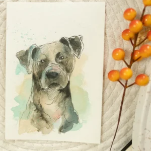 Amstaff - akwarela, oryginał 12,5×18 cm