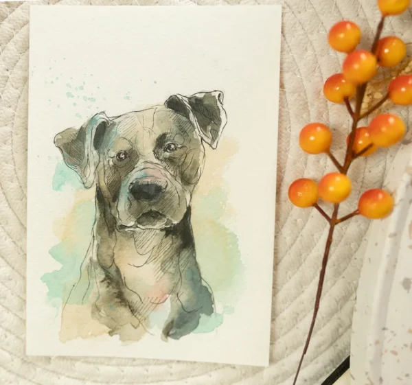 Amstaff - akwarela, oryginał 12,5×18 cm