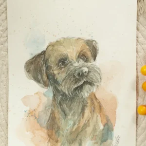 Border terrier - akwarela, oryginał 18×24 cm