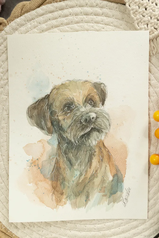 Border terrier - akwarela, oryginał 18×24 cm