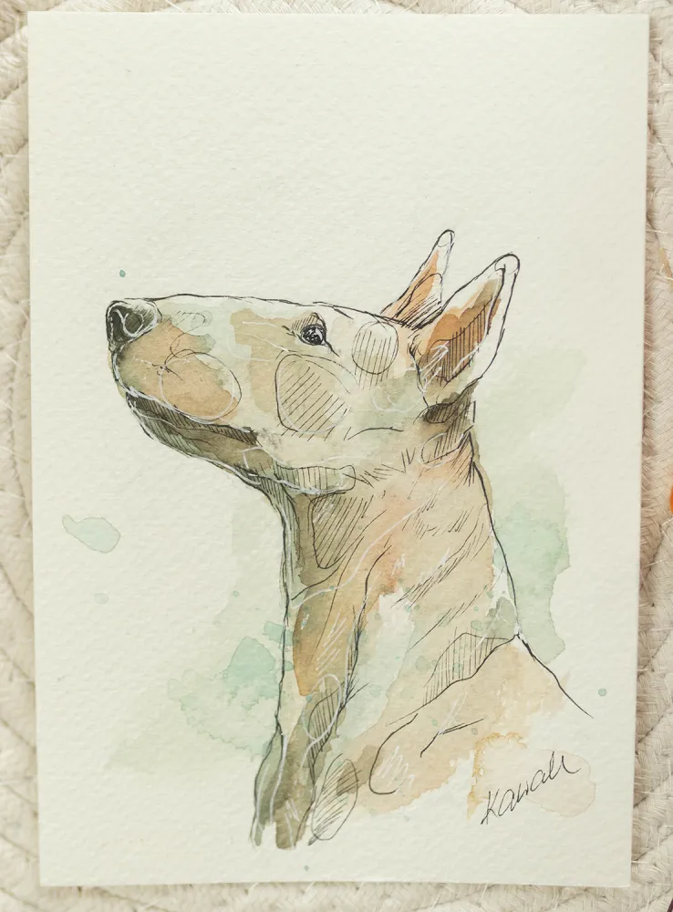 Bulterier - akwarela, oryginał 12,5×18 cm - obrazek 2