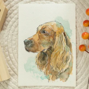 Cocker spaniel - akwarela, oryginał 12,5×18 cm