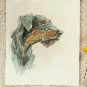 Jagdterrier - akwarela, oryginał 18×24 cm