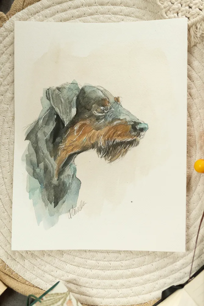 Jagdterrier - akwarela, oryginał 18×24 cm