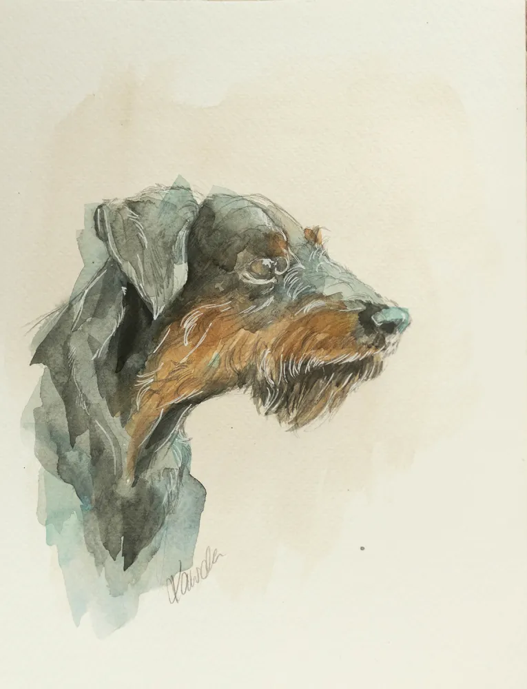 Jagdterrier - akwarela, oryginał 18×24 cm - obrazek 2