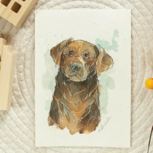 Labrador - akwarela, oryginał 12,5×18 cm