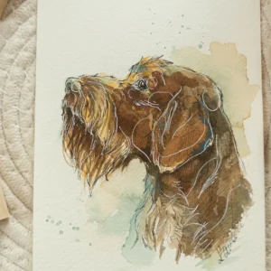 Wyżeł niemiecki szorstkowłosy - akwarela, oryginał 12,5×18 cm