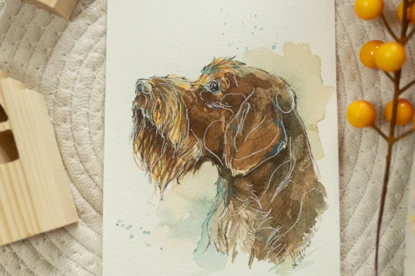 Wyżeł niemiecki szorstkowłosy - akwarela, oryginał 12,5×18 cm