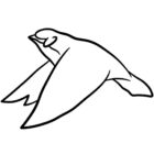 Bupu