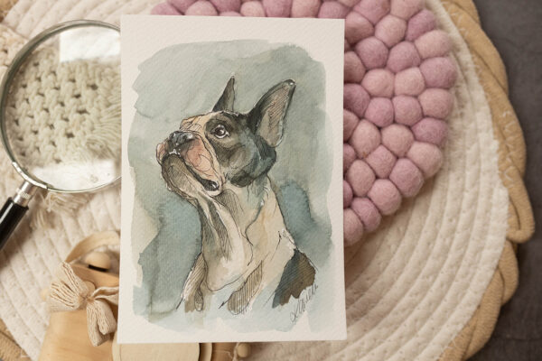 Boston terrier - akwarela, oryginał 12,5×18 cm