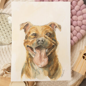 Staffordshire bull terrier - akwarela, oryginał 18×24 cm