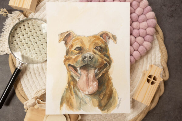 Staffordshire bull terrier - akwarela, oryginał 18×24 cm