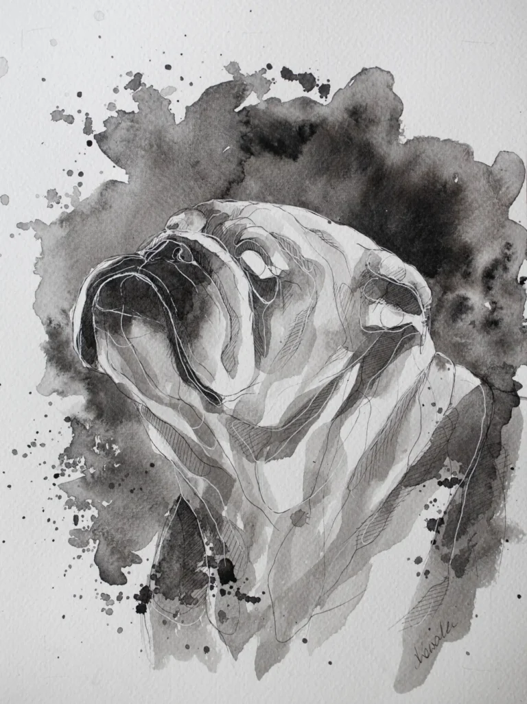 Buldog - portret tuszem